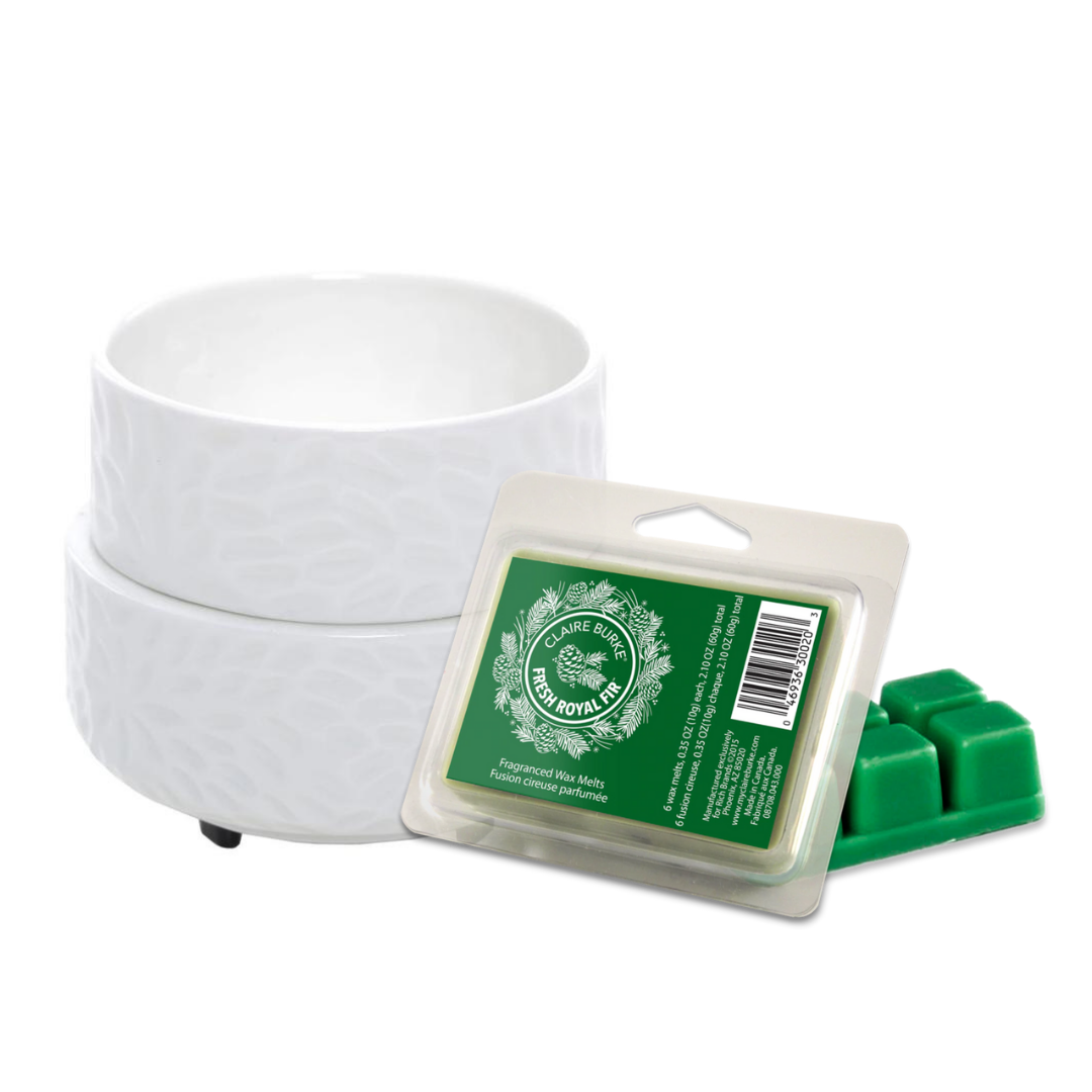 Melt warmer best sale